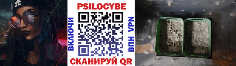 наркота  Геленджик  Псилоцибиновые грибы прущие грибы 